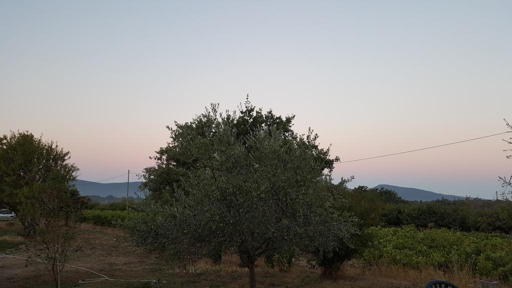 Villa Le Mas Les Margauds